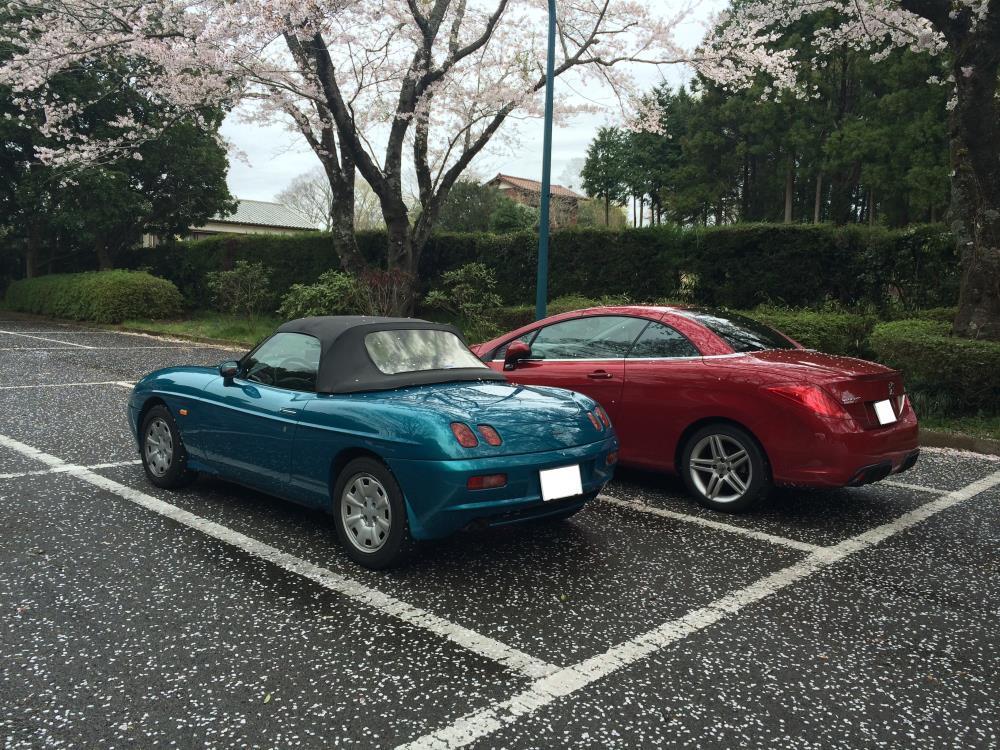 IMG_3125 - コピー.JPG